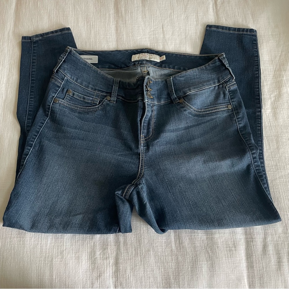 Torrid Denim Jeans